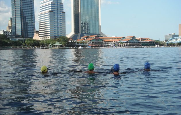 Open water swimmer glides forward Open water swimmer glides forward