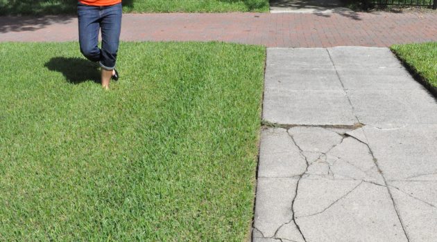Neighborhood survey targets Riverside/Avondale, San Marco to rid streets of visual pollution