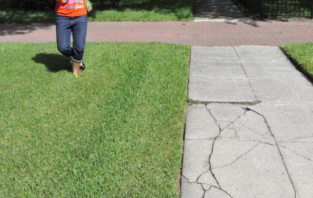 Neighborhood survey targets Riverside/Avondale, San Marco to rid streets of visual pollution