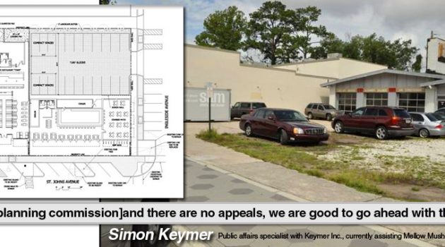 Mellow Mushroom restaurant developers can move forward with plans