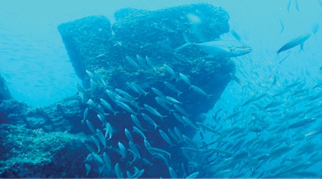 Plans for controversial artificial reef sunk