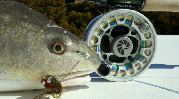 Commit to do something new: fish with fly