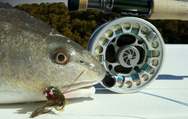 Commit to do something new: fish with fly