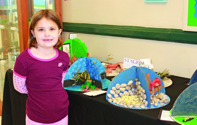 Ortega Museum Magnet 11th in nation Ortega Museum Magnet 11th in nation