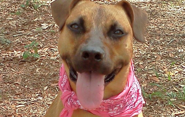 Looking for her forever home