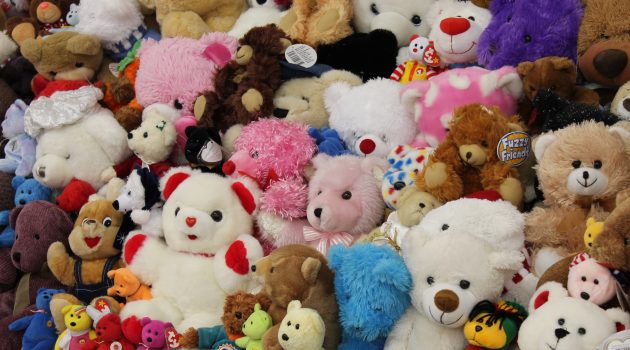 A ‘bear’ run in Lakeshore