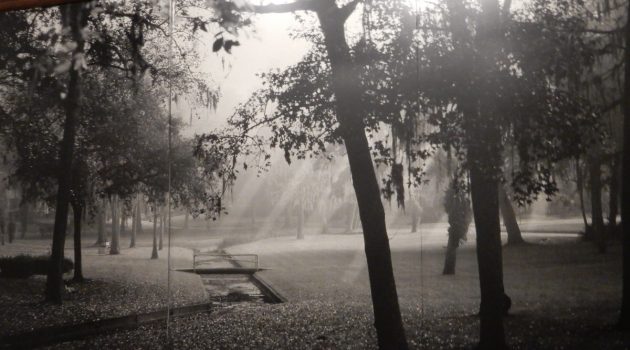 Neighborhood group decides on Whatley Park improvements