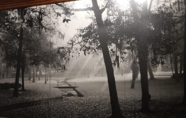 Neighborhood group decides on Whatley Park improvements