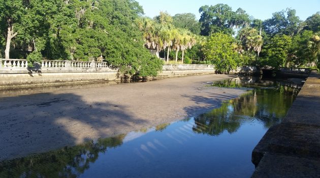 Petition drive underway to spur action on Willow Branch Creek