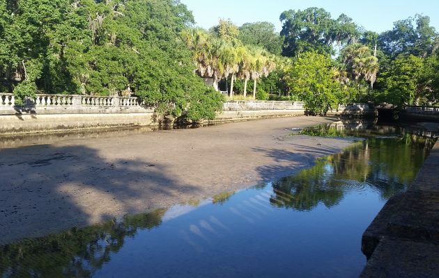 Petition drive underway to spur action on Willow Branch Creek
