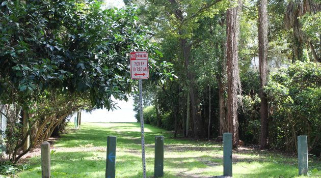 Avondale river access beginning to look like a park