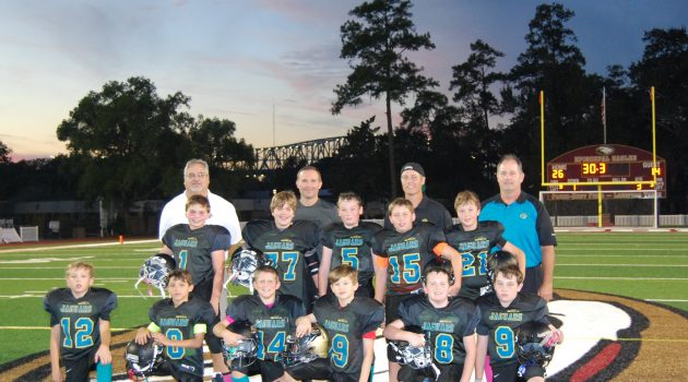  Jaguars lose championship  to Cardinals