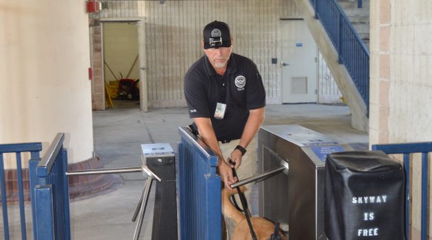 Trained for terrorism, K9 dogs “married” to trainers