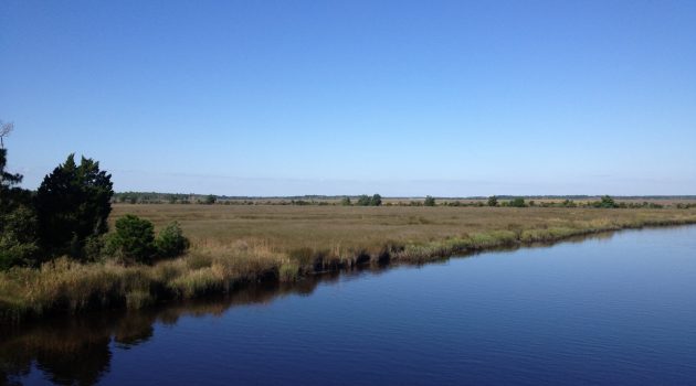 North Florida Land Trust makes biggest purchase in nonprofit’s history