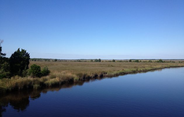 North Florida Land Trust makes biggest purchase in nonprofit’s history