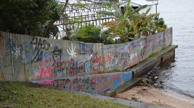 Boyer, residents seek ways to shield neighborhood river access from graffiti, teen partying