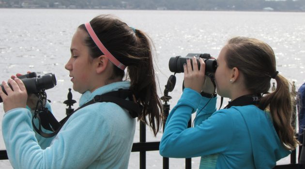 Budding gardeners may be budding birders