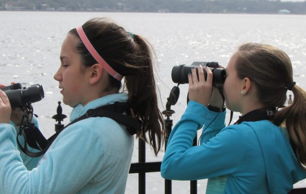 Budding gardeners may be budding birders