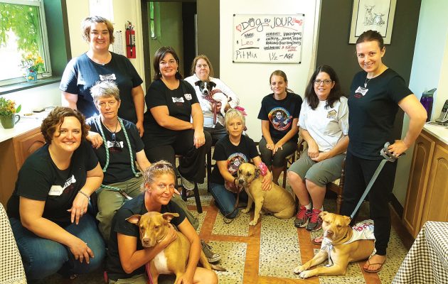 Dog café brings homeless dogs, potential families together