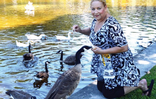 Crated ducks, geese find new home in Duck Pond