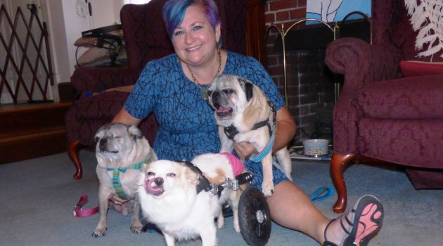 Avondale woman goes to the dogs
