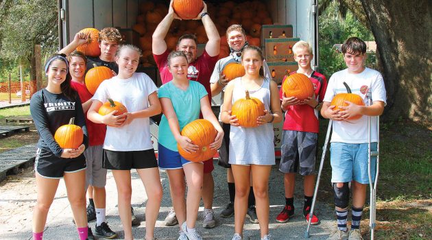 Find your perfect pumpkin