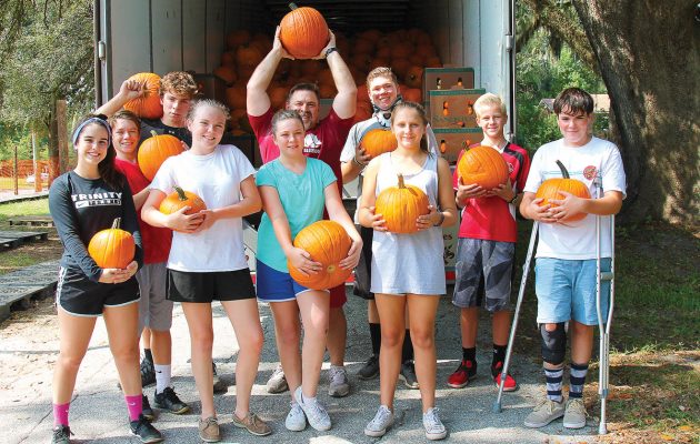 Find your perfect pumpkin
