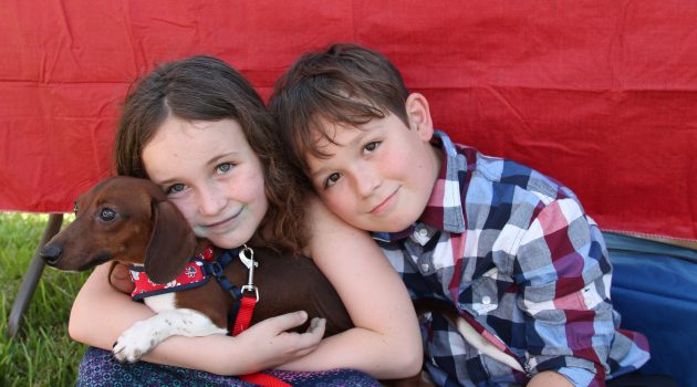 Family pets get annual blessing in Fletcher Park