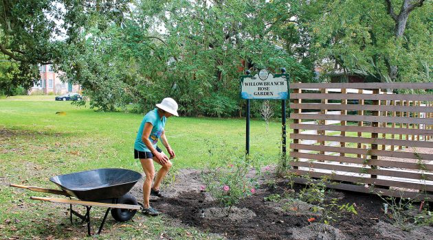Garden beds ready for winter planting, projects remain