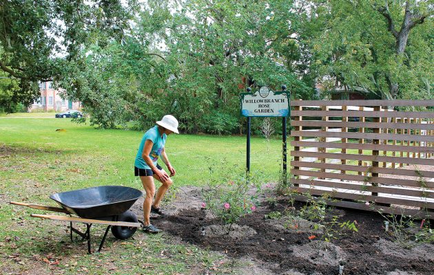 Garden beds ready for winter planting, projects remain