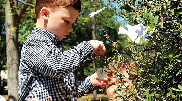 Friends dedicate live oak for former Avondale man