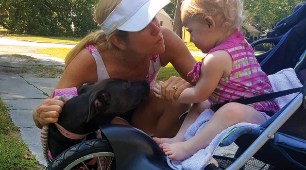 Foster families get a break