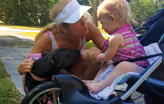 Foster families get a break