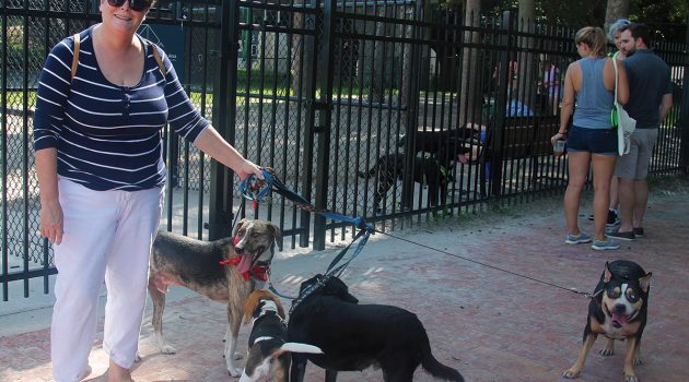 Neighborhood parks get helping hands from community