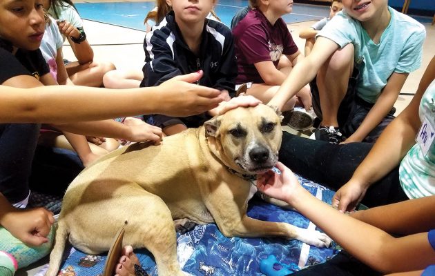 Children learn kindness for animals at Camp Compassion