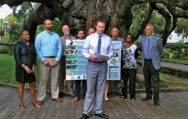 City settlement over tree mitigation resolves issue, promotes beautification