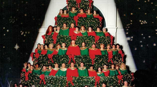 Singing Christmas tree returns to San Marco