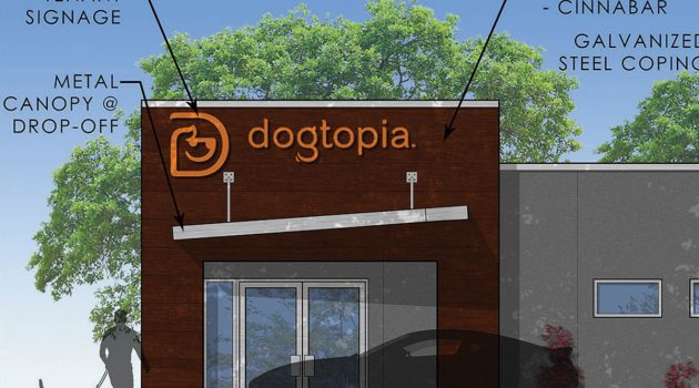 New doggy daycare to open before summers ‘dog days’ arrive