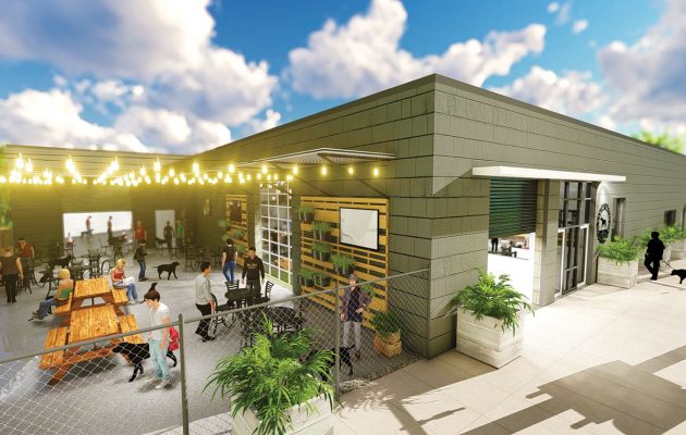 Doggy daycare and ‘people’ pub proposed for Brooklyn area