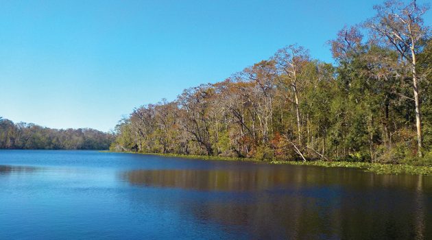 Conservation nonprofit gains land, wins federal funds