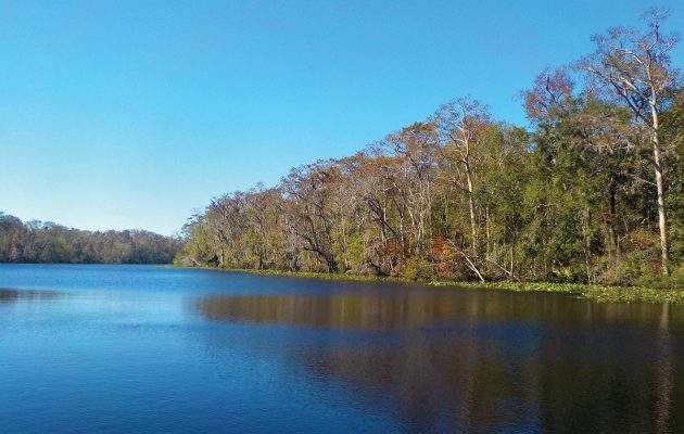 Conservation nonprofit gains land, wins federal funds Conservation nonprofit gains land, wins federal funds