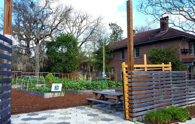 Conflict resolution in community garden an ongoing debate Conflict resolution in community garden an ongoing debate