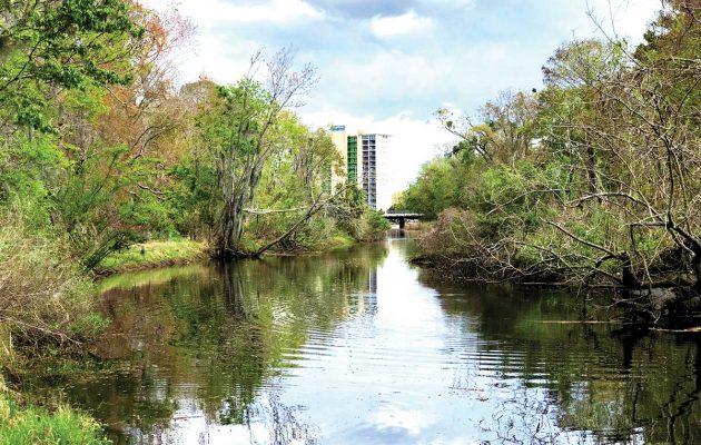 Residents concerned Fishweir Creek dredging ‘island’ will be eyesore