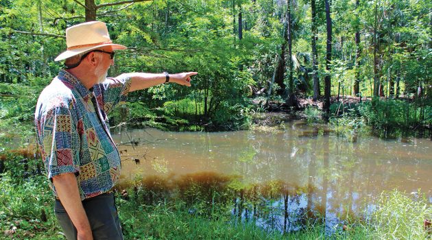 Dredging plans for Lakewood area creek lack cohesive desire by residents