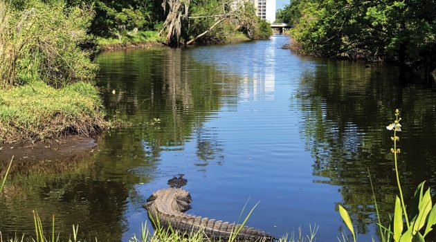 Fishweir Creek restoration project moves into next phase with partnership agreement