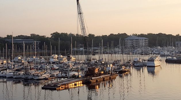Ortega marina getting back to normal post-Irma
