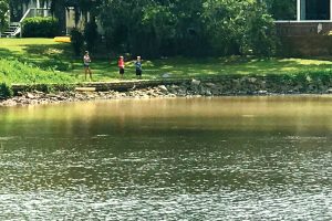 The water in Millers Creek turned a brownish-yellow color July 24 after JEA inadvertently unleased sediment into the creek.