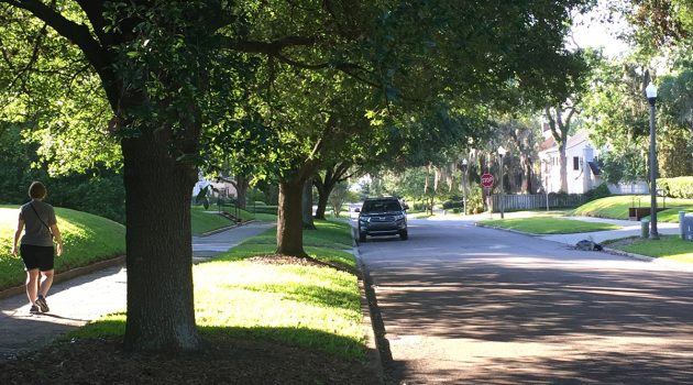 Historic tree canopies in danger from over-reactive property owners
