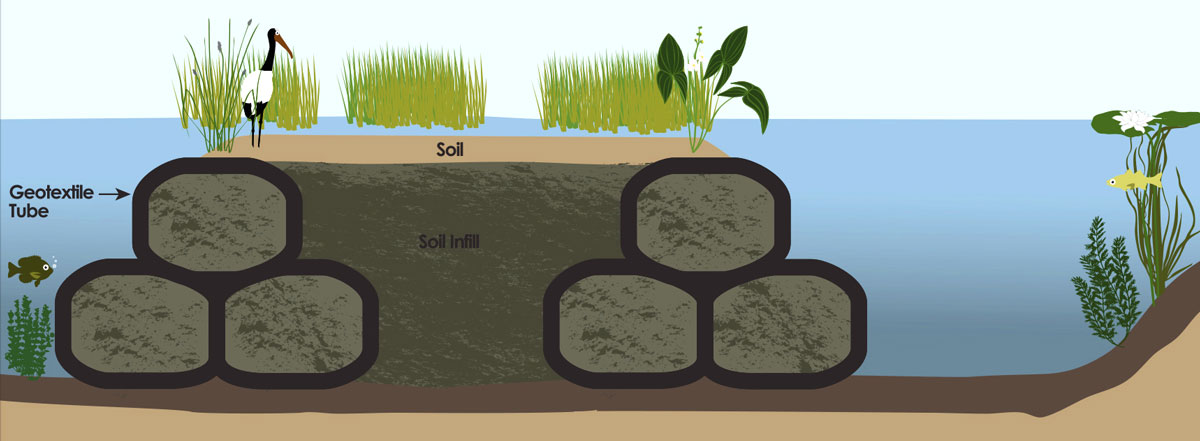 Cross-section rendering of the marsh island proposed for the mouth of Fishweir Creek as part of the aquatic habitat ecosystem restoration project.