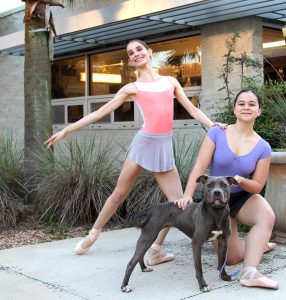 Clio Chazan-Gabbard and Amina Kolenc pose with Capella, available for adoption at Animal Care and Protective Services.
